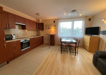 mieszkanie na wynajem - Kraków, Dębniki, Ruczaj, Pszczelna