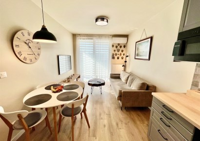 apartment for rent - Kraków, Dębniki, Ruczaj, dr. Jana Piltza